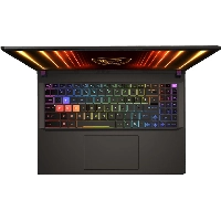 MSI Vector 16 HX AI A2XWHG-438CN, 16/1 Тб, серый