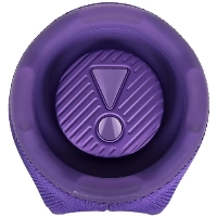Портативная акустика JBL Charge 6, Purple, фиолетовый