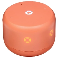 Умная колонка Яндекс.Станция Лайт 2, Orange, оранжевый
