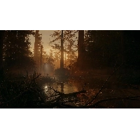 Игра Alan Wake 2 Deluxe Edition для PS5