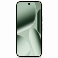Google Pixel 10 Pro, 16/256 GB, US, Jade, зеленый