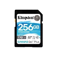 Карта памяти Kingston Canvas Go! Plus SDXC 256 ГБ SDG3/256Gb