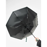 Зонт Xiaomi Zuodu Fashionable Umbrella Dark Green, зеленый