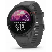 Умные часы Garmin Forerunner 255 basic (GPS) Slate Gray 0100264110