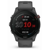 Умные часы Garmin Forerunner 255 basic (GPS) Slate Gray 0100264110