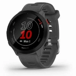 Умные часы Garmin Forerunner 55,  010-02562-13,  Gray, серый 