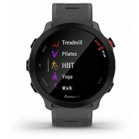 Умные часы Garmin Forerunner 55,  010-02562-13,  Gray, серый 