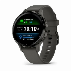 Умные часы Garmin Venu 3S Slate Stainless Steel Bezel with Pebble Gray Case and Silicone Band	