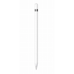 Стилус Apple Pencil (1-го поколения) с USB-C to Apple Pencil (MQLY3)