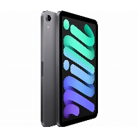 Планшет Apple iPad mini (2021) 256 ГБ, Wi-Fi + Cellular, Space gray, "серый космос"