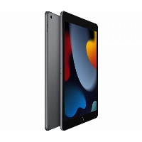 Планшет Apple iPad (2021) 64 ГБ, Wi-Fi, Space gray, "серый космос"