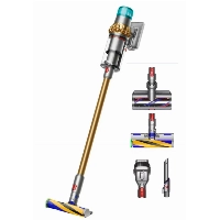 Пылесос Dyson V15 Detect Absolute, Gold (SV47)