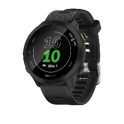 Умные часы Garmin Forerunner 55, 0100256210, Black