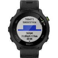 Умные часы Garmin Forerunner 55, 0100256210, Black