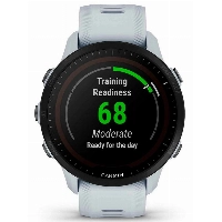 Умные часы Garmin Forerunner 955 Solar, 0100263821, Whitestone