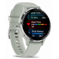 Умные часы Garmin Venu 3S silver stainless, Sage Grey