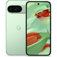 Смартфон Google Pixel 9 12/256 Gb, Wintergreen, USA