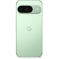 Смартфон Google Pixel 9 12/128 Gb, Wintergreen, CA