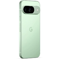 Смартфон Google Pixel 9 12/256 Gb, Wintergreen, CA