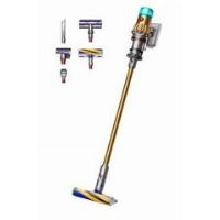 Dyson V12 Detect Slim Absolute Gold/Gold (SV46) 