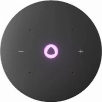 Станция Яндекс Мини 3 Про Zigbee, Gray, серый