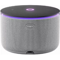 Станция Яндекс Мини 3 Про Zigbee, Gray, серый