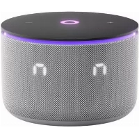 Станция Яндекс Мини 3 Про Zigbee, Gray, серый