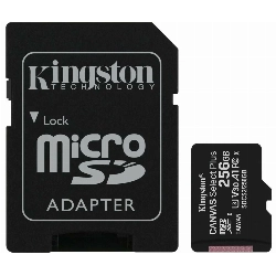 Карта памяти Kingston Canvas Select Plus microSDXC 256 ГБ, SDCS2/256Gb