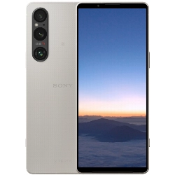 Смартфон Sony Xperia 1 V, 12/256 GB, Platinum, Silver, серебристый