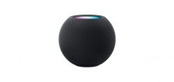 Умная колонка Apple HomePod Mini, Midnight, черный