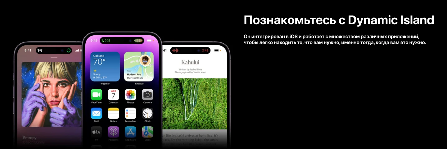 Смартфон Apple iPhone 14 Pro Max 256 ГБ, Dual SIM (eSIM), Silver, серебристый 